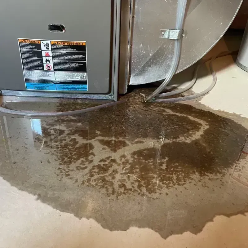 Appliance Leak Cleanup in Desloge, MO